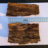 Eastern cottonwood bark flats